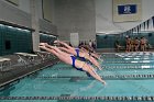 Swimming vs Babson  Wheaton College Swimming vs Babson College. - Photo By: KEITH NORDSTROM : Wheaton, Swimming, Babson